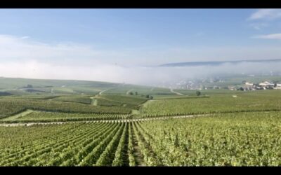 Visiter la Champagne : bien plus qu’une destination autour du Champagne